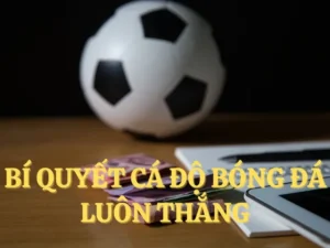 Bí Quyết Tìm Hiểu Cá Cược Bóng Đá H3Bet Thắng Lớn Mỗi Ngày