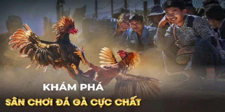 Hướng Dẫn Chi Tiết Cách Chơi Đá Gà GA28 Tại H3Bet Cho Người Mới 1 Hướng Dẫn Chi Tiết Cách Chơi Đá Gà GA28 Tại H3Bet Cho Người Mới