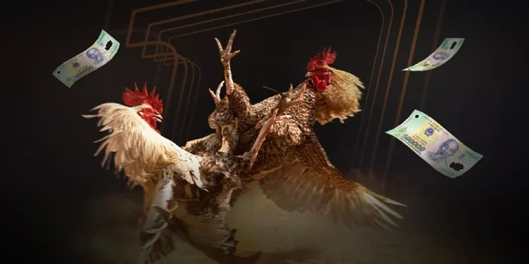Trải Nghiệm Đá Gà H3Bet Đỉnh Cao Kịch Tính Thưởng Lớn